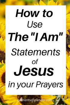 sunflowers with the words how to use the i am statements of jesus in your prayer