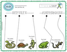 Science printable for scissor work and fine motor practice. Teachers pay teachers, tpt. Preschool, PreK and Kindergarten. Science and biology. Discovery Activities, Hello Literacy, Animal Traits, Fine Motor Practice, Animal Movement, Preschool Lesson Plans, Kindergarten Science, The Wiggles, Preschool Lessons