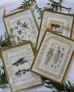 four framed pictures with plants on them sitting on top of a sheet of paper next to pine branches