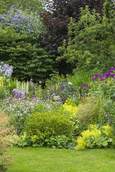 a garden filled with lots of different types of flowers