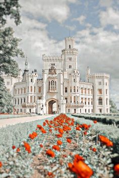 an image of a castle with red flowers in the foreground