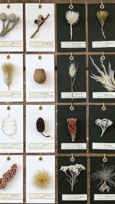 Product Photography With Flowers, Flower Shop Design, Floral Design Studio, Meaningful Drawings, Forest Garden, Floral Studio, Nature Collection, Classroom Displays, Seed Pods