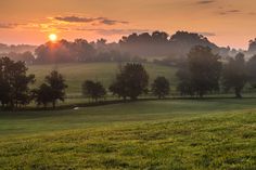 the sun is setting over a grassy field