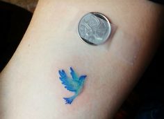 a small blue bird tattoo on the left arm and right leg, with a quarter penny sitting next to it