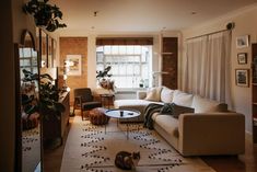 a living room filled with furniture and lots of plants on the windows sills