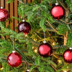 a christmas tree with red ornaments hanging from it's branches