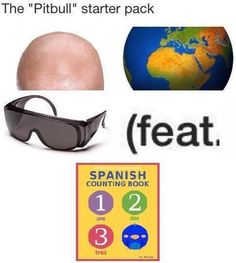 there is an image of a head, sunglasses and a book with the words'the pitbull starter pack '