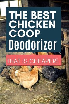 the best chicken coop deodorizer that is cheap