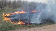 the fire is burning on the side of the road in front of some grass and trees