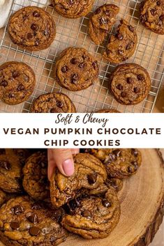 soft and chewy vegan pumpkin chocolate chip cookies are the perfect treat for fall