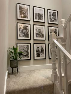 a staircase with pictures on the wall and a potted plant