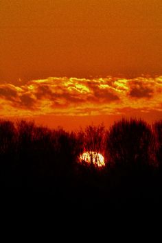 the sun is setting behind some trees in the distance, with orange and yellow clouds