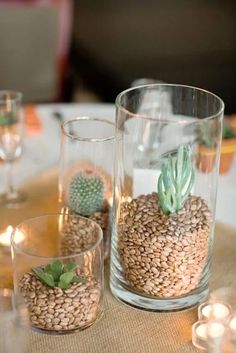 three glass vases filled with plants on top of a table