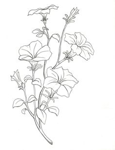 a drawing of some flowers on a white background