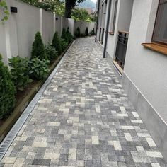 a brick sidewalk with trees and bushes on both sides