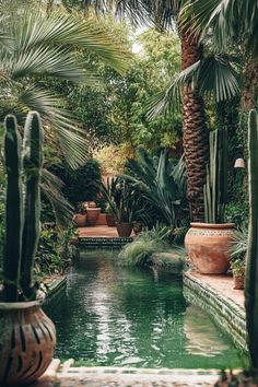 a pool surrounded by palm trees and potted plants