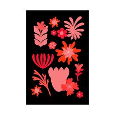 a black background with red and pink flowers on the bottom right corner is an illustration of leaves, plants, and petals