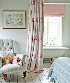 a dog laying on top of a chair in a bedroom next to a window with pink curtains