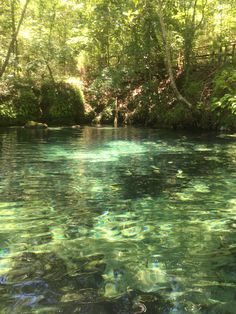 the water is very clear and blue in this area with green trees on both sides