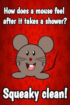 a cartoon mouse with the caption how does a mouse feel after it takes a shower?