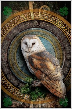 an owl sitting on top of a tree branch in front of a circular frame with shamrock leaves