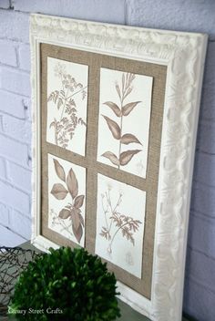 a plant is sitting on a table in front of a wall hanging with four pictures