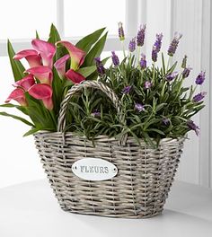 a wicker basket filled with pink and purple flowers on a white table next to a window