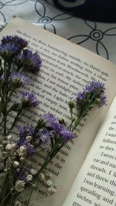 the book is open and has flowers on it