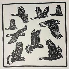 black and white drawing of birds flying in the sky