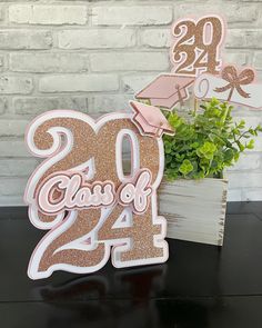 a pink and gold graduation cake topper next to a potted plant on a table