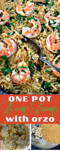 one pot shrimp pasta with orzo and parsley