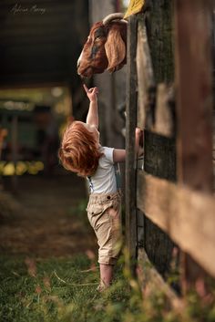 a little boy reaching up to pet a horse's head on the side of a fence