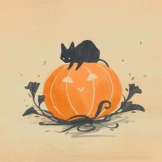 an orange pumpkin with a black cat sitting on it