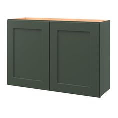 a green cabinet with two doors and one drawer