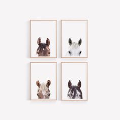 four framed pictures of horses in different colors and sizes, each with their own animal's head