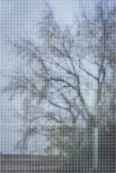 a blurry photo of trees in the snow