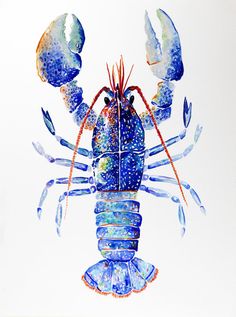 a watercolor painting of a blue lobster