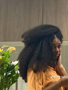 Afro Hair Care, Natural Curls Hairstyles, Natural Hair Updo