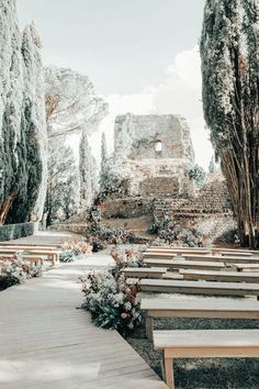 an empty park with benches and trees