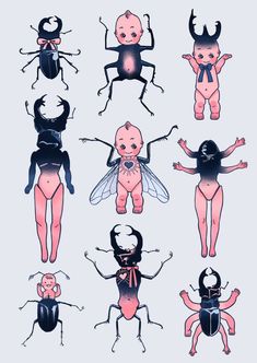 six different types of insects on a light blue background with pink and black inks