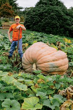 a young boy standing next to a giant pumpkin in the middle of a green field