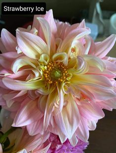 pink and yellow flowers are in a vase