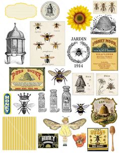 various bee related items are arranged on a white background