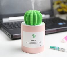 a green cactus sitting on top of a pink container next to a laptop computer and marker pens