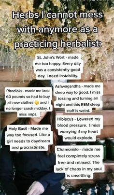 Medicine Garden, Medical Herbs, Natural Healing Remedies, Home Health Remedies, Herbal Healing, Herbal Magic, Things To Do When Bored, Herbs For Health