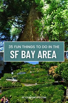 the gardens and trees in san francisco, california with text overlay that reads 35 fun things to do in the s f bay area