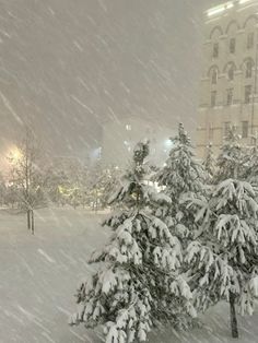 the snow is falling and there are trees in the foreground with buildings in the background