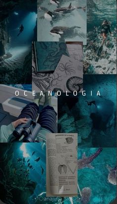 the collage shows different images of people swimming and diving in the ocean, with text reading oc fanologicia