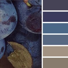 the color scheme is blue and gray, with yellow leaves on it's left side