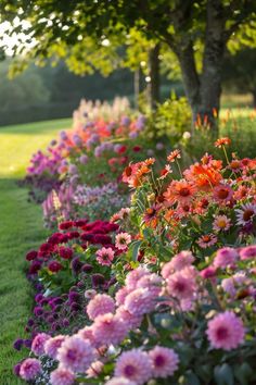 many different colored flowers in a garden